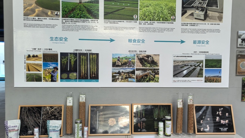 1768444484279439.jpg 华大BGI (15)_插图.jpg