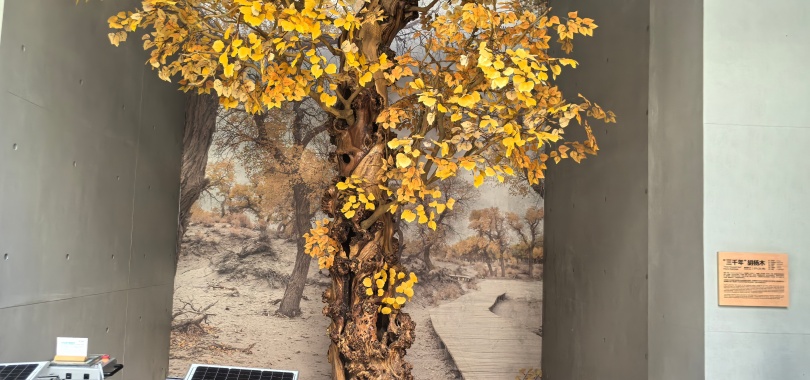 1768445495133546.jpg 华大BGI (14)_插图.jpg